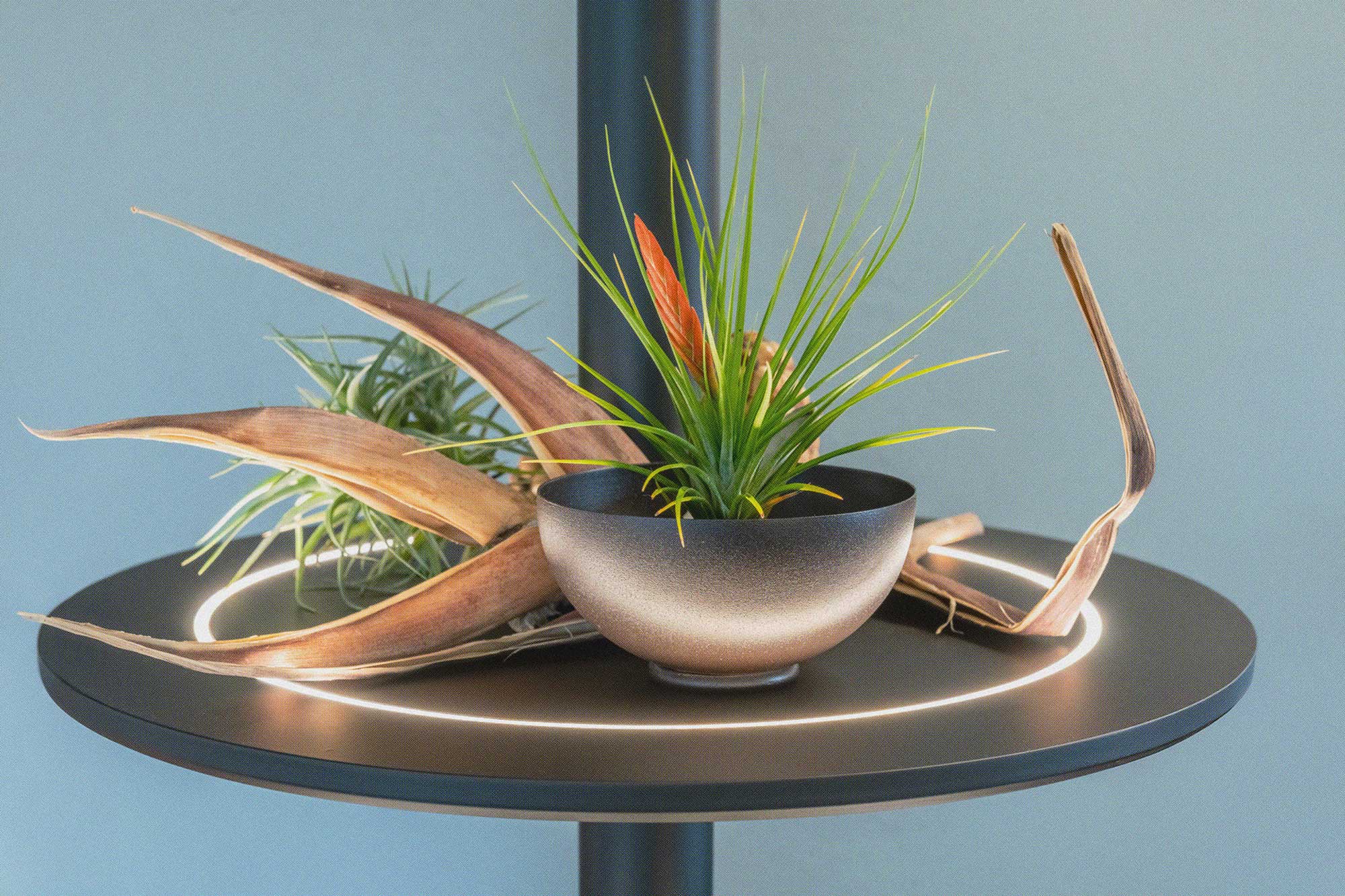 Mehrstufige Etagere Eclipse mit Beleuchtung im Einsatz